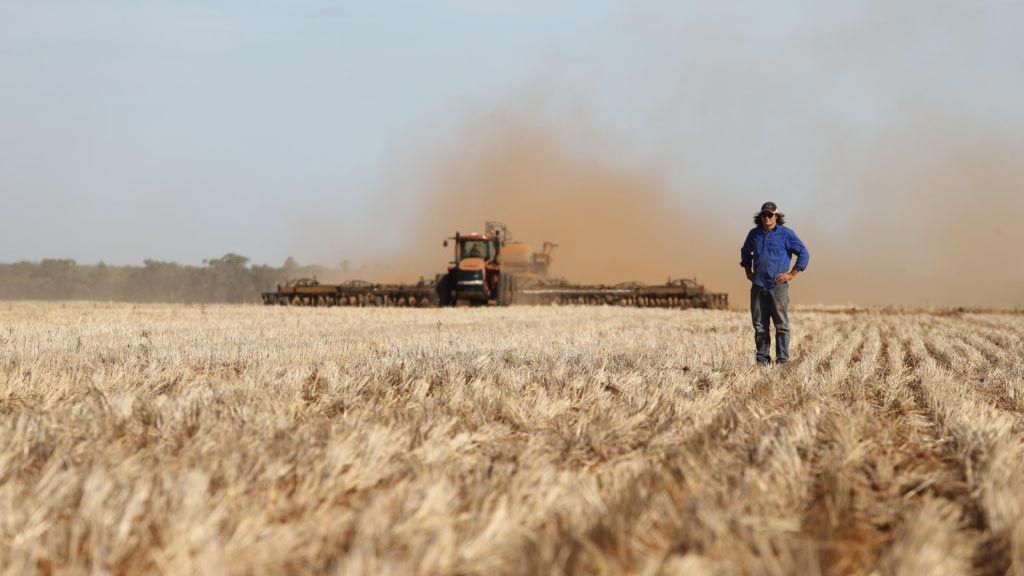 A farmer standing in a field of stubble with a tractor pulling a large 80' Flexi-Coil Air Drill in the distance